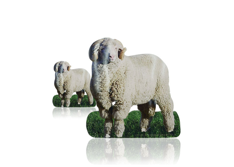 Cardboard Standee Display Cardboard Standee Display in Retail